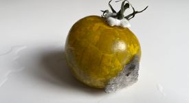 CRM : Sarbacane tacle Brevo dans les Echos. Brevo, une licorne pas souveraine ? 