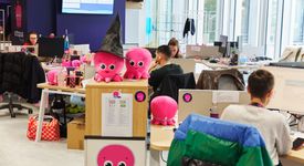 « Les call-apparts sans process » sont comme les appartements raviolis des restos chinois. Un ex-cadre d'un grand comparateur témoigne 