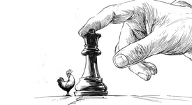 Intense fréquentation des poulets et discrétion. La secret sauce de Chouaïb Benbakir, Master Poulet