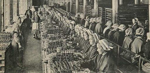 In the Name of Preserves, Chancerelle. Traditional sardines from Douarnenez
