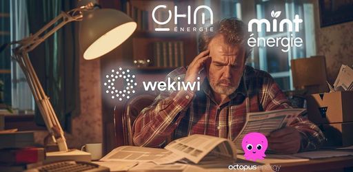 Octopus Energy electricity supplier 120 times less stressful than Wekiwi