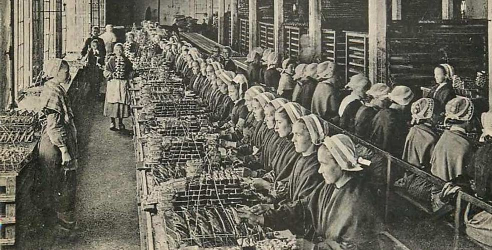 In the Name of Preserves, Chancerelle. Traditional sardines from Douarnenez In the Name of Preserves, Chancerelle. Traditional sardines from Douarnenez
