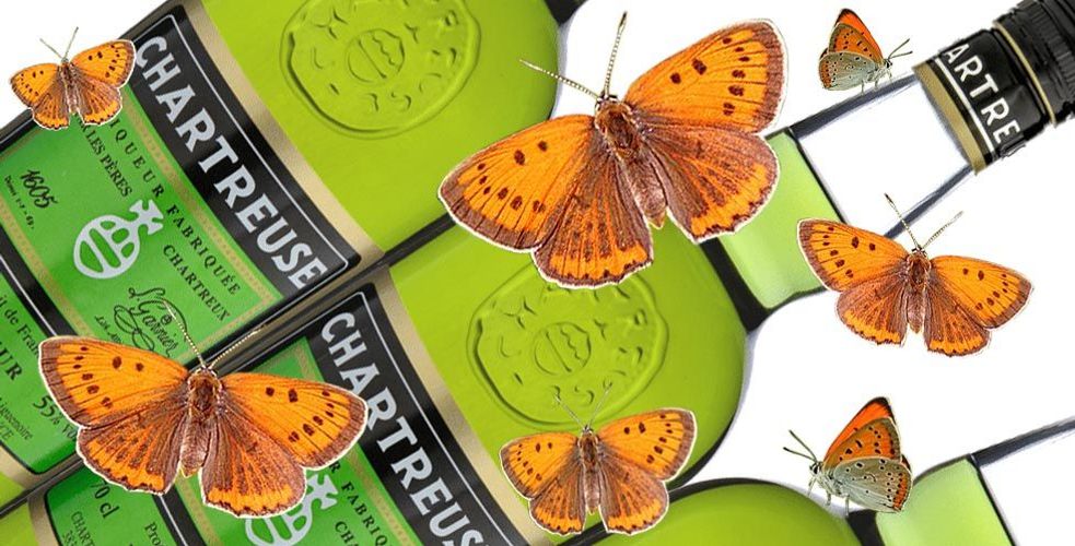 La Chartreuse Verte, the anti-Miraval? The Prior General, Brad Pitt and the Large Copper Butterfly