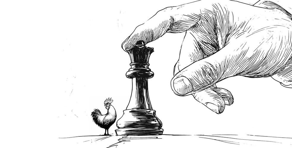 Intense fréquentation des poulets et discrétion. La secret sauce de Chouaïb Benbakir, Master Poulet